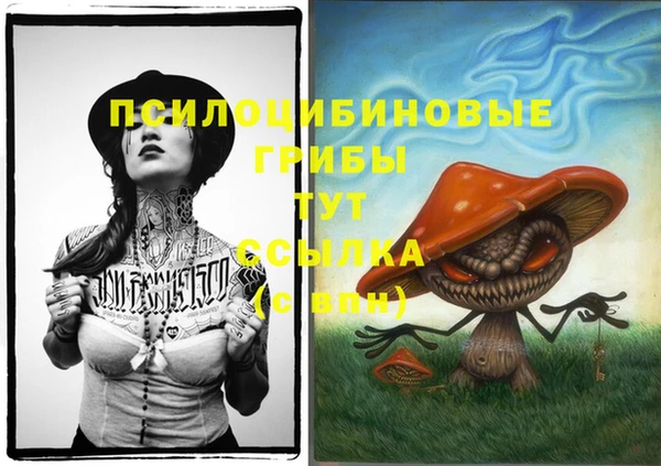 Альфа ПВП Новокубанск