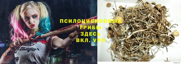 jwh Новодвинск