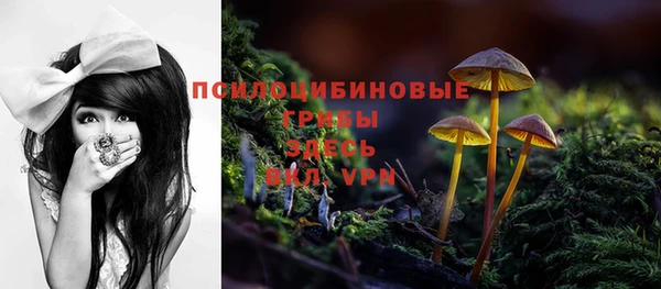Альфа ПВП Новокубанск